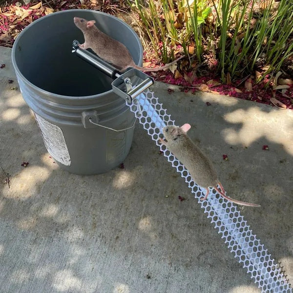 Reusable Mouse Catcher Roll Up Mouse Catcher Wooden Stick Rolling