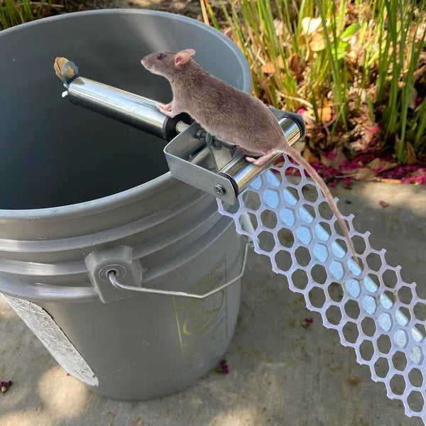 Reusable Mouse Catcher Roll Up Mouse Catcher Wooden Stick Rolling